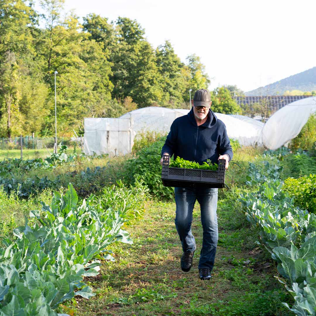 B2B/Großverbraucher