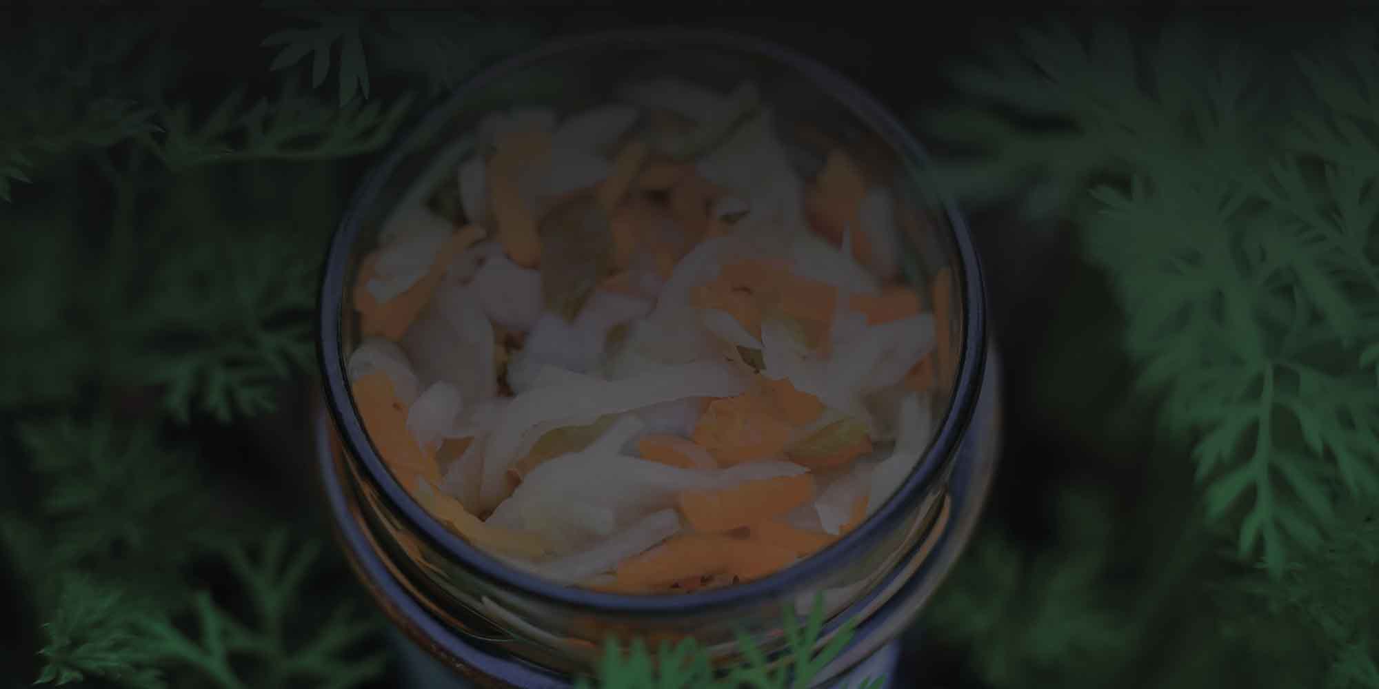 wild Fermentiertes Gemüse