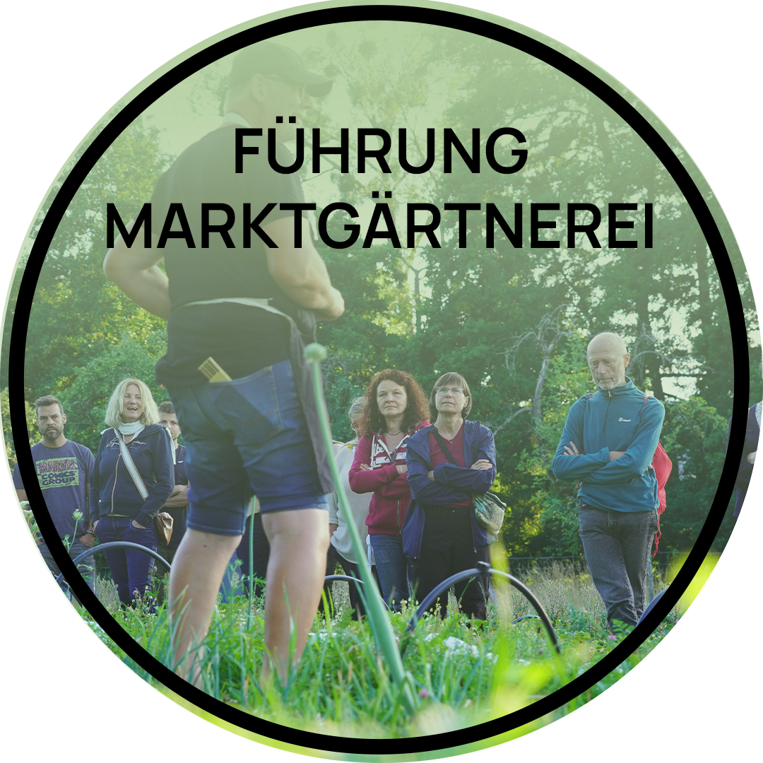 Marktgärtnerei Führung – Erlebnis Tour durch unsere Proviant-Welt