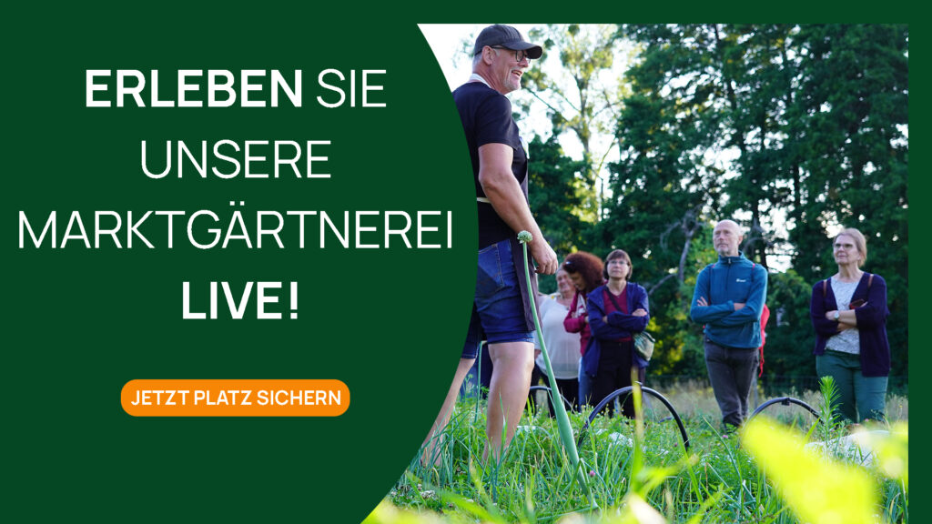 Gruppe bei Marktgärtnerei-Führung blickt auf Gemüsefelder